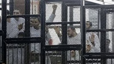 تأجيل محاكمة 73 متهما بقضية اللجان النوعية لجلسة 27 يناير للمرافعة