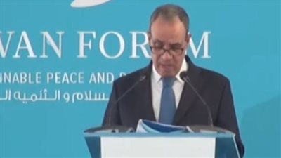 وزير الخارجية: مصر أكثر دول العالم تضررا من حالة عدم الاستقرار بالبحر الأحمر وخليج عدن