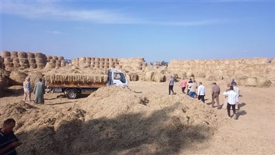 جمع 343 طن قش أرز.. وفحص 2034 عاد سيارة بالبحيرة