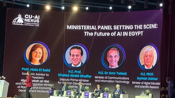 نائب رئيس مجلس الوزراء