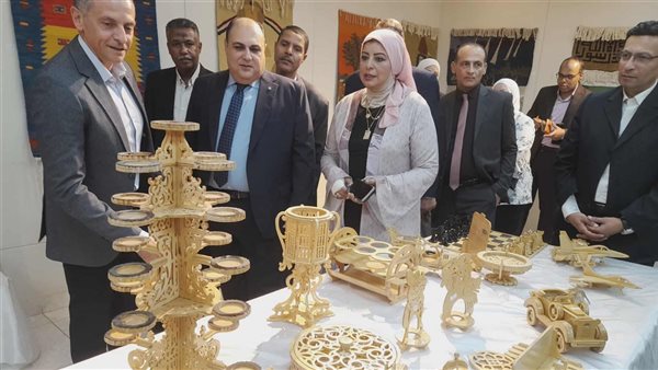 نائب محافظ أسوان