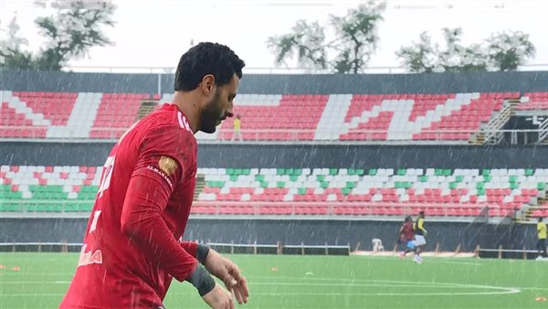 محمد الشناوي