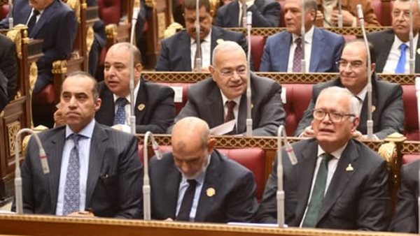 المستشار محمود فوزي