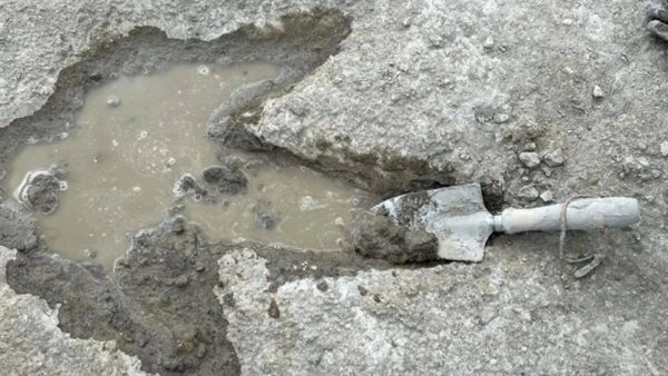 أثار أقدام لديناصور