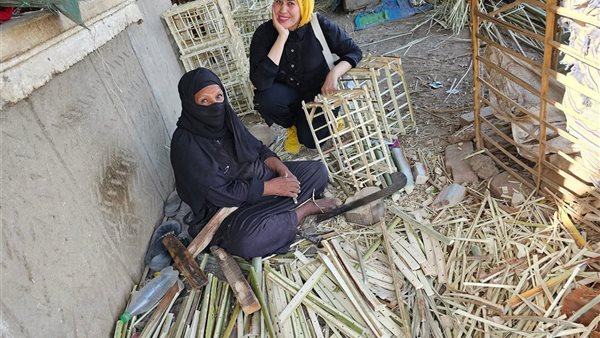 محررة القاهرة 24