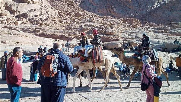 Sorry! Image not available at this time