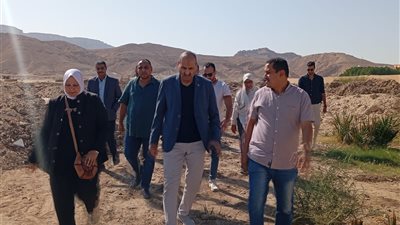 للحد من انتشارها.. استعدادات لإنشاء شلتر للكلاب الضالة في قنا