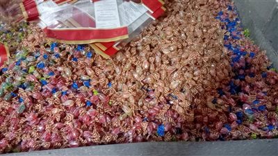 ضبط 2 طن حلوى أطفال ومنظفات وسكر مجهولة المصدر بشبين القناطر