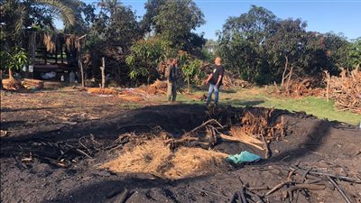 البيئة تشن حملات تفتيش مكبرة على مكامير الفحم بدمياط للتصدي إلى مصادر التلوث| صور 