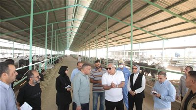 تدشين مشروع إنتاج حيواني يضم 2140 رأس ماشية في الوادي الجديد