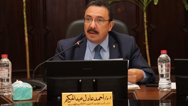 نائب رئيس جامعة الإسكندرية