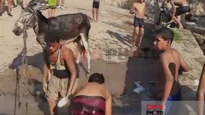 استياء السائحين بأسوان بعد رصد تردي حالة مرسى شهير بالكورنيش.. ومطالبات بالتدخل لحماية الموسم السياحي