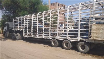 ضبط سيارة تحمل أسطوانات بوتاجاز تبيع أعلى من السعر الرسمي في سوهاج