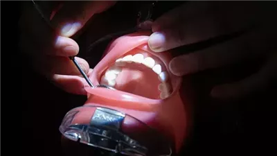 اكتشاف علمي قد يغيّر مستقبل الطب.. علماء ينجحون في تجديد العظام والأسنان باستخدام الخلايا الجذعية