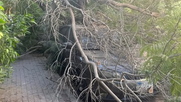 جانب من الواقعة 