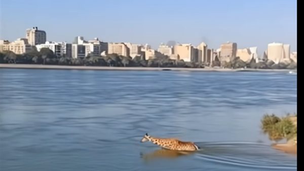 حديقة الحيوان توضح