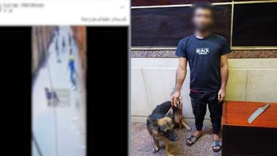 القبض على شاب لممارسته أعمال البلطجة باستخدام كلب بالجيزة