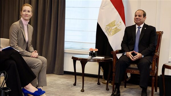 الرئيس السيسي وممثلة