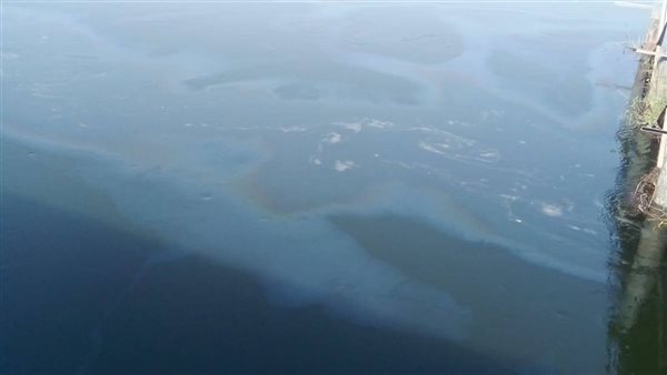 ظهور بقعة زيت بنيل