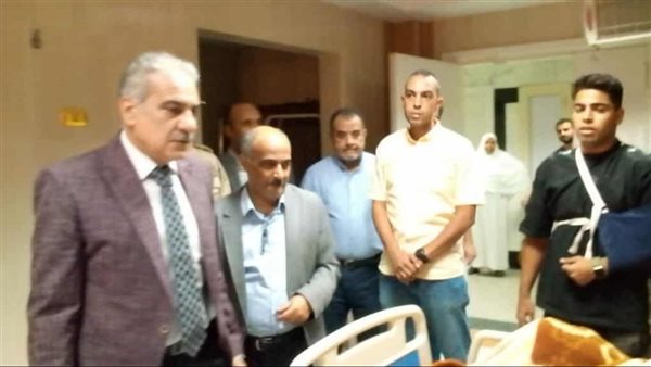 محافظ أسوان 