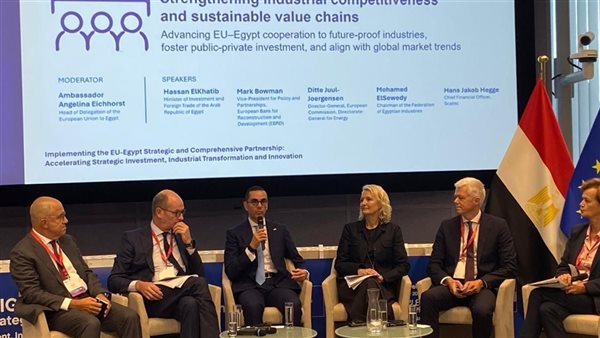 وزير الاستثمار 