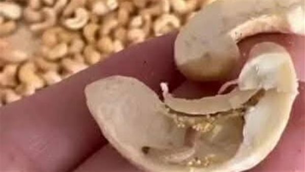 حملات تموينية ببورسعيد