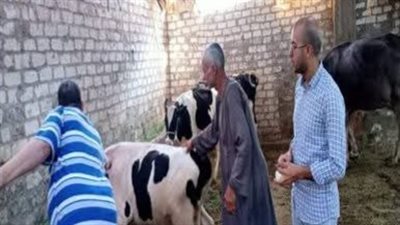 بيطري أسيوط: انطلاق الحملة القومية الثالثة للتحصين ضد الحمي القلاعية والوادي المتصدع 