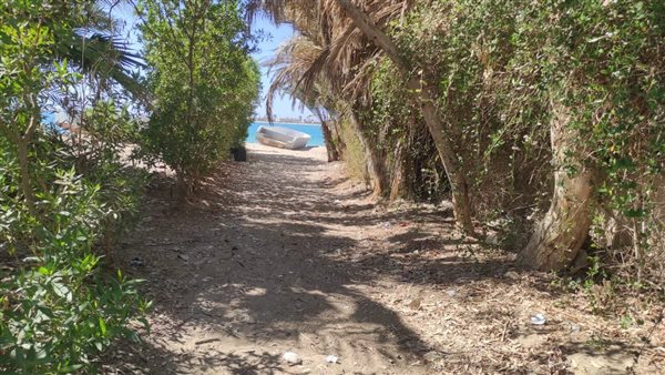 نظافة منطقة شاطئ