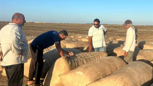 محافظة بورسعيد 