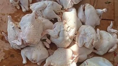 ضبط 178 كيلو دواجن وأسماك ولحوم مذبوحة خارج المجزر الحكومي بمطاعم مشويات في أسيوط