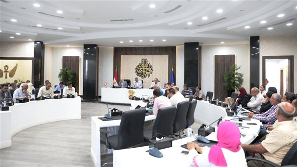 محافظ أسوان