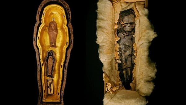  أجنة بنات الملك