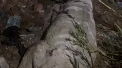 بعد العثور على حمير مذبوحة بالسنطة.. حملات مكثفة للتفتيش على المطاعم ومحال بيع اللحوم بالغربية