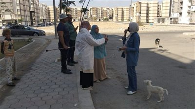العبور الجديدة تطلق حملات مكثفة لتطعيم الكلاب الضالة في إطار استراتيجية مصر خالية من السعار 2030
