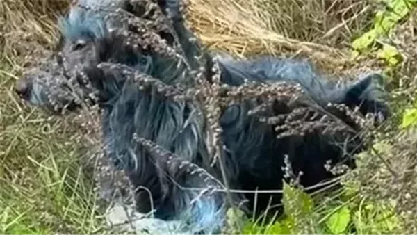 Sorry! Image not available at this time