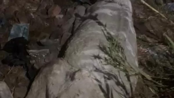 Sorry! Image not available at this time