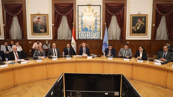 التنمية المحلية 