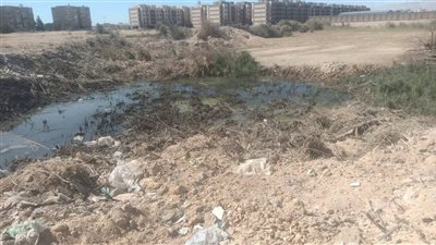 رائحة كريهة تزعج الأهالي في منطقة حوض الدرس بالسويس.. ورئيس الحي: بسبب تجمع لمياه الصرف الصحي