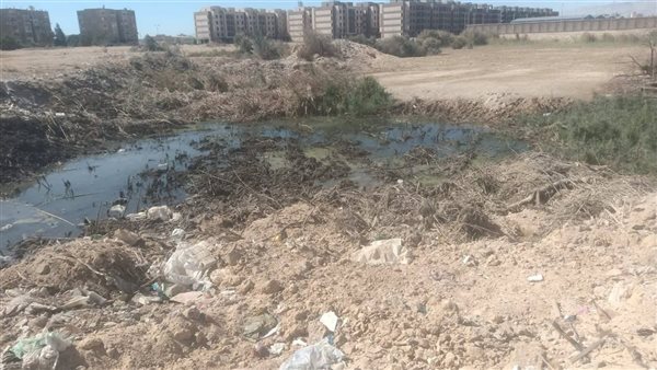 Sorry! Image not available at this time