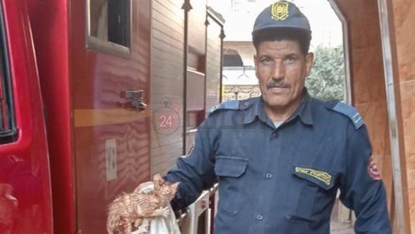 إنقاذ قطة عالقة