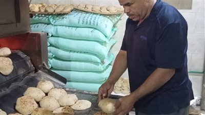 تحرير 17 مخالفة تموينية وضبط 20 شيكارة دقيق مدعم بمركز ناصر ببني سويف 