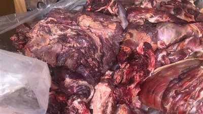 تموين الإسكندرية تضبط 400 كجم لحوم فاسدة وغير صالحة للاستخدام الآدمي