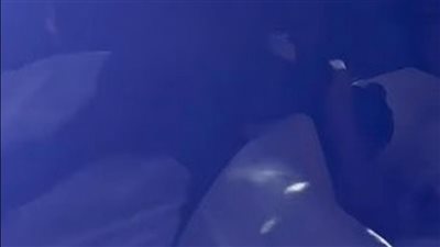 بيرقصوا سلو.. سقوط المخرج هادي الباجوري وعروسته في حفل زفافهما