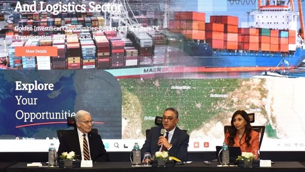 وزير الاستثمار