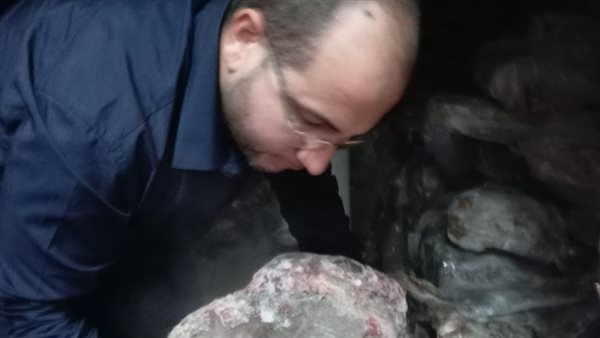 جانب من الحملة 