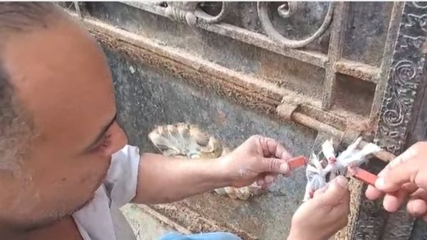 تشميع ثلاجة غير مرخصة