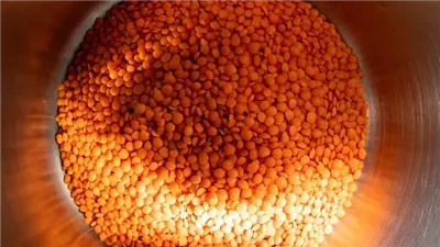 هل العدس من الأطعمة الغنية بالحديد؟ .. تعرف على التفاصيل