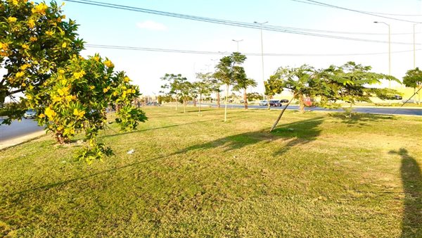 Sorry! Image not available at this time