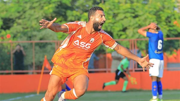 دوري المحترفين