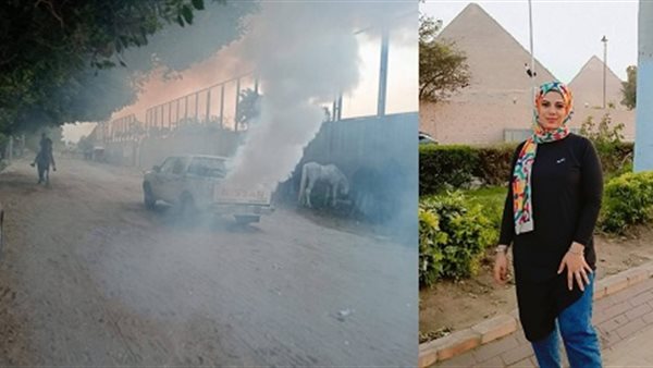 المهندسة مايسة فتحي